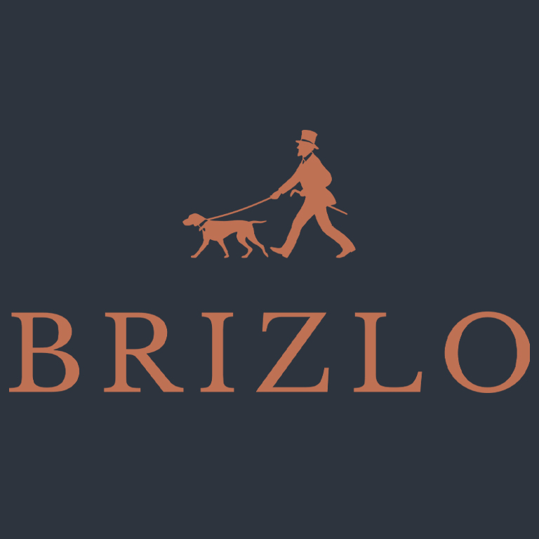 Brizlo lgója"